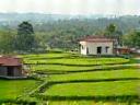 Village field reportage