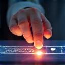 User voting in a digital poll